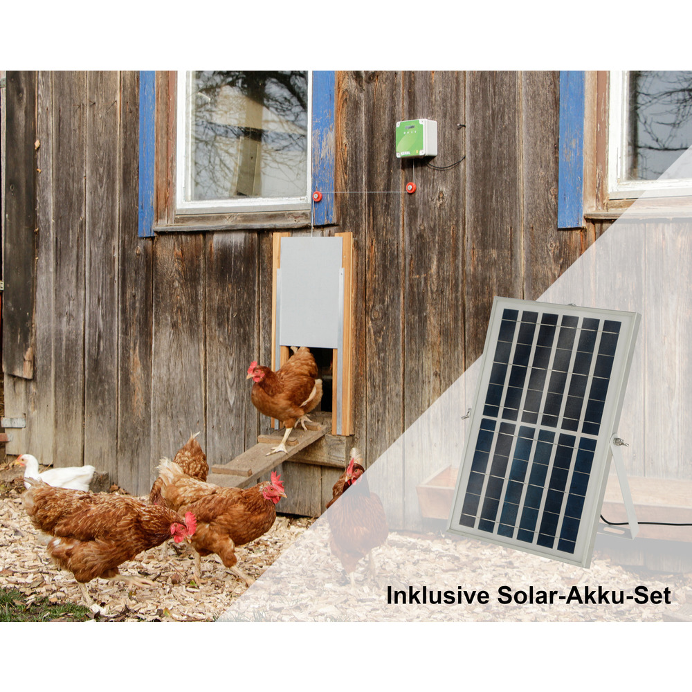 Hühnertür Set mit Solar-Akku-Set