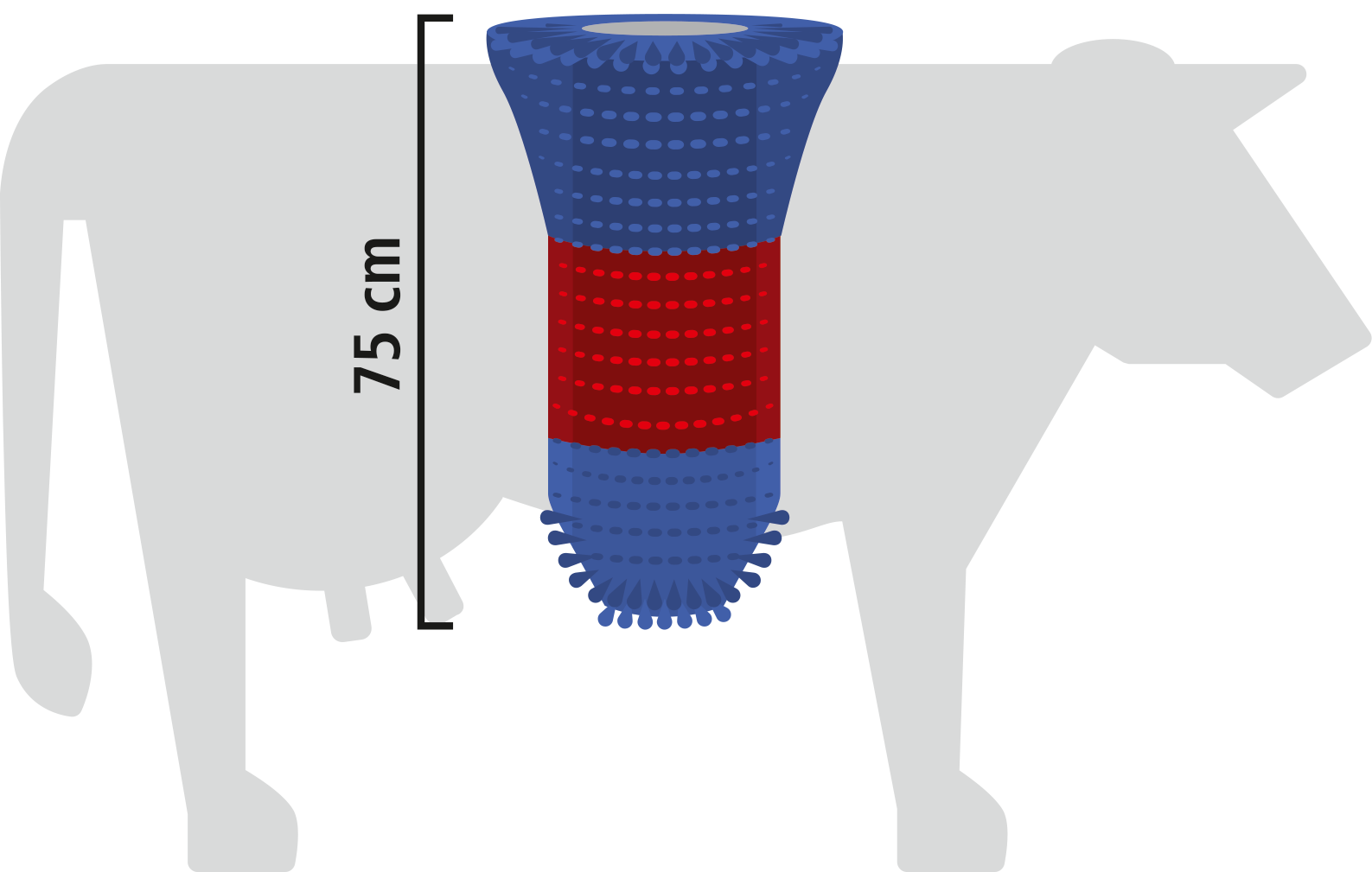 Kratzbürste HappyCow FlexiSwing