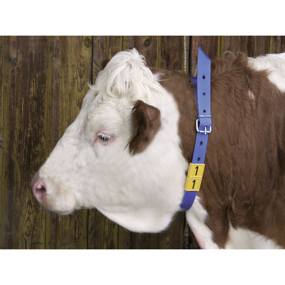 Hals-Markierungsband, 135 cm