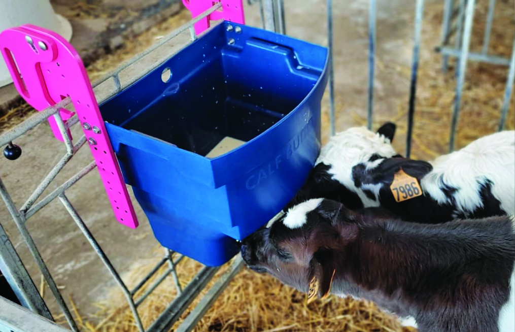 Kälbertränkewanne Calf Buddy 2 - 20 Liter