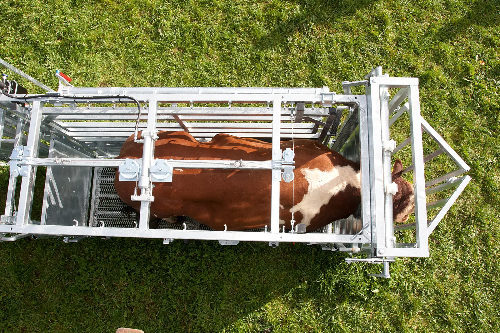 Behandlungsstand A8000