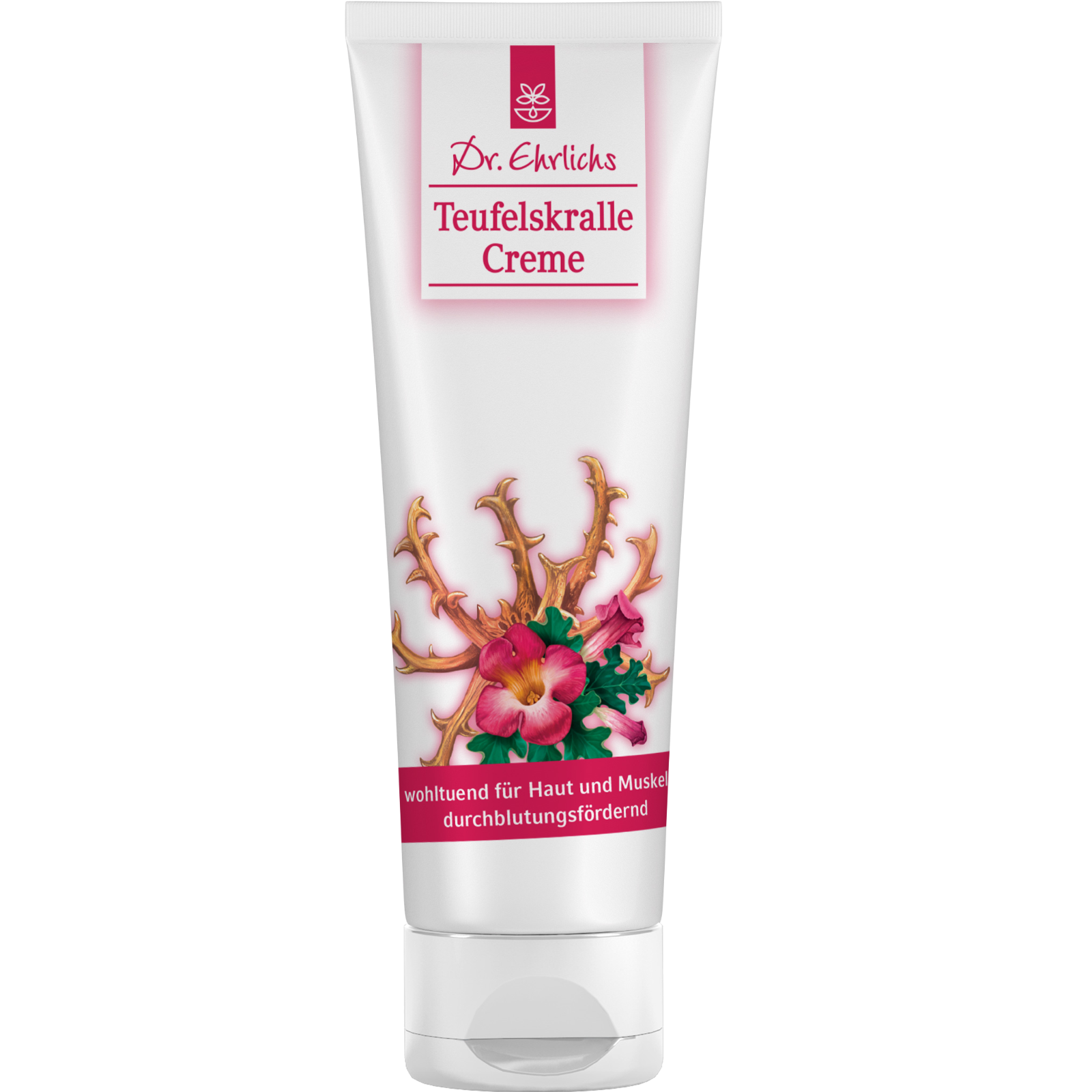  Teufelskralle Creme 100ml 