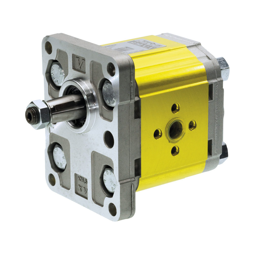 Hydraulikpumpe XV-2P BG2