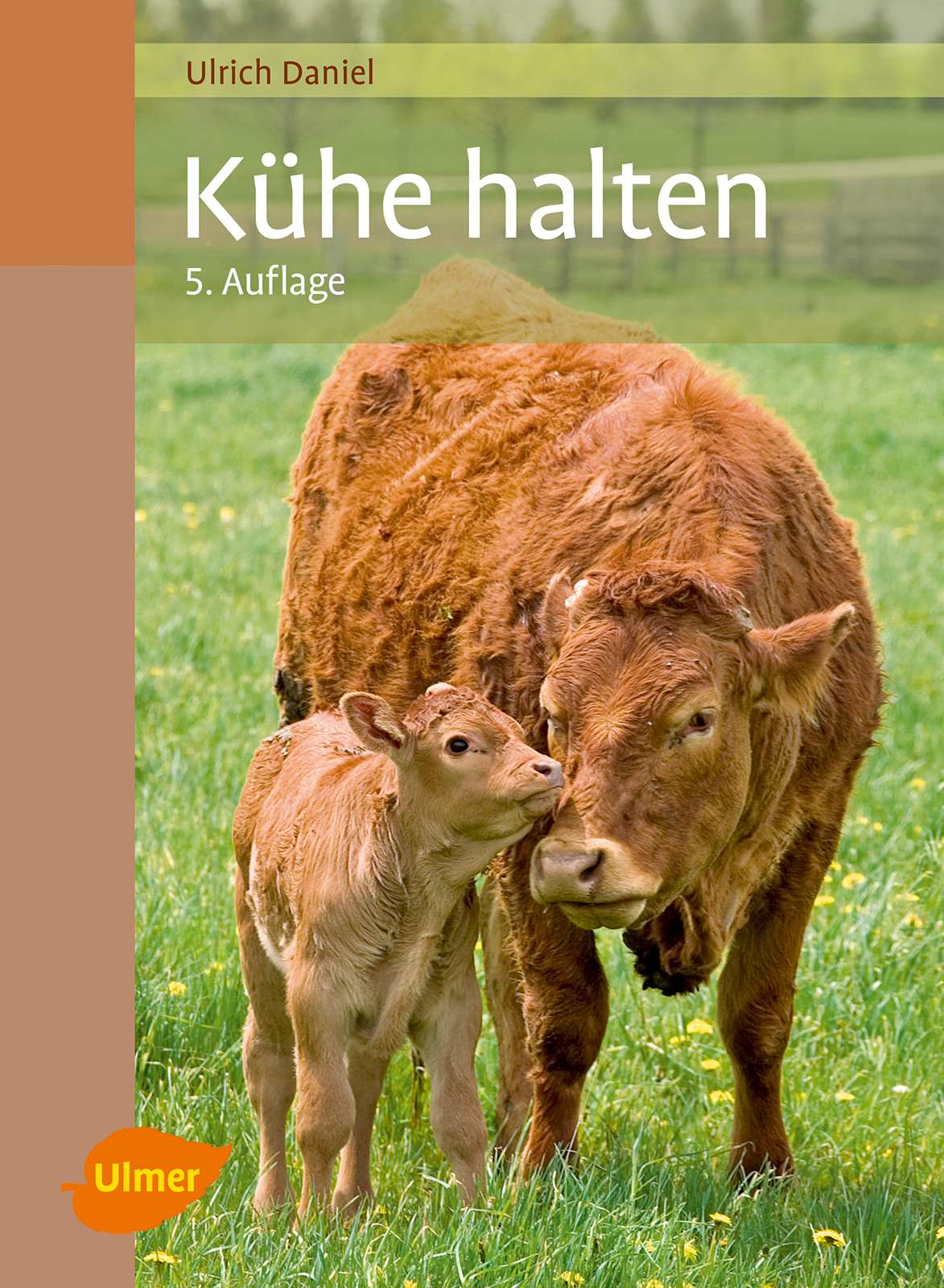 Kühe halten