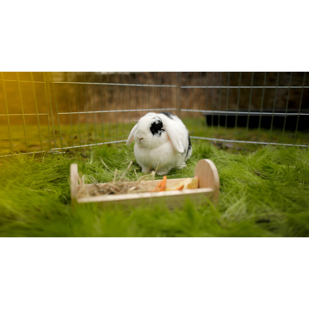 Futtertrog