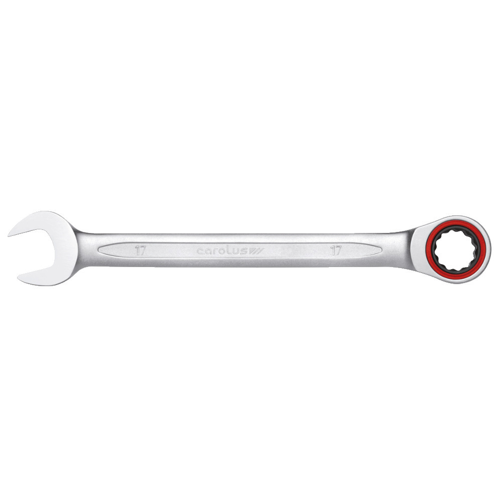 Maulschlüssel mit Ringratsche