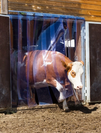 Schutz vor Kälte und Zugluft im Stall!