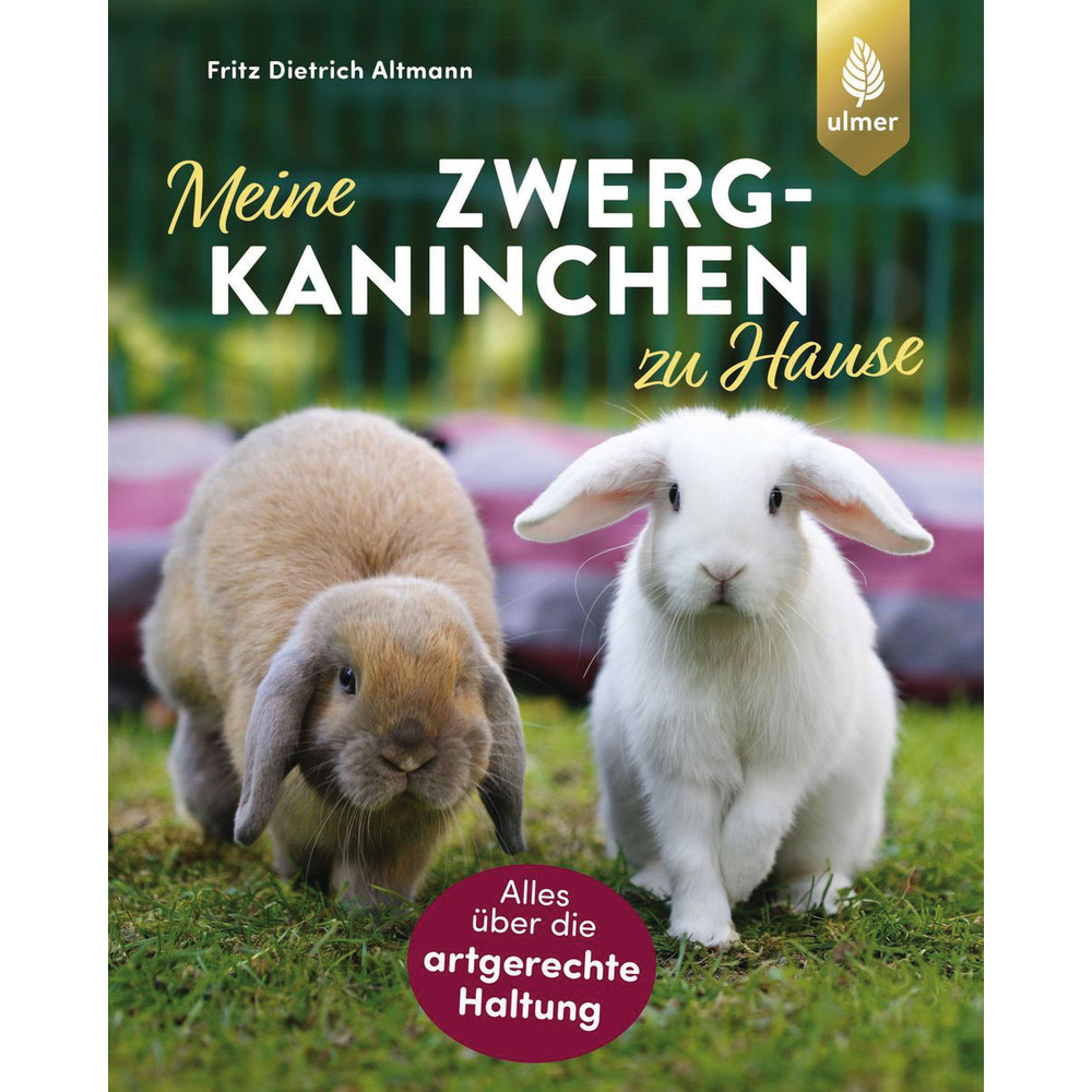 Meine Zwergkaninchen zu Hause