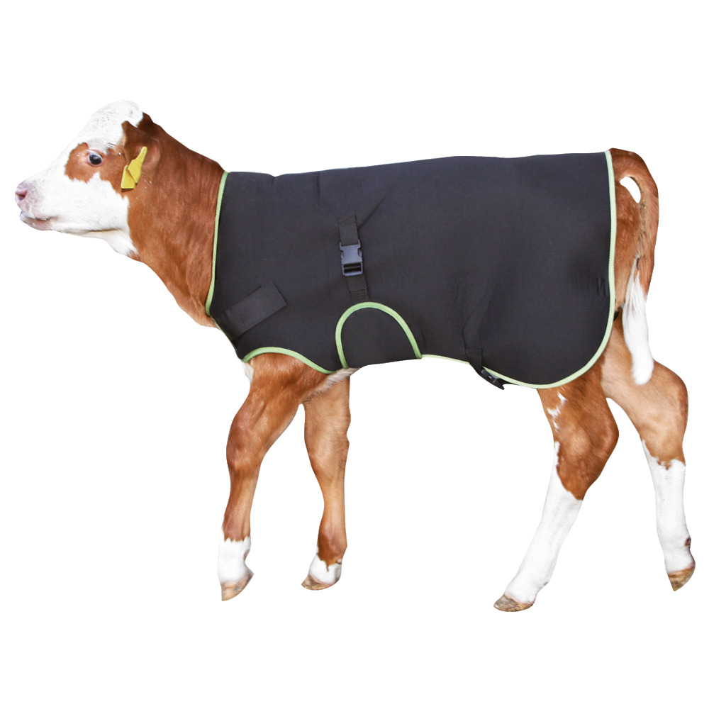 Kälberdecke Premium