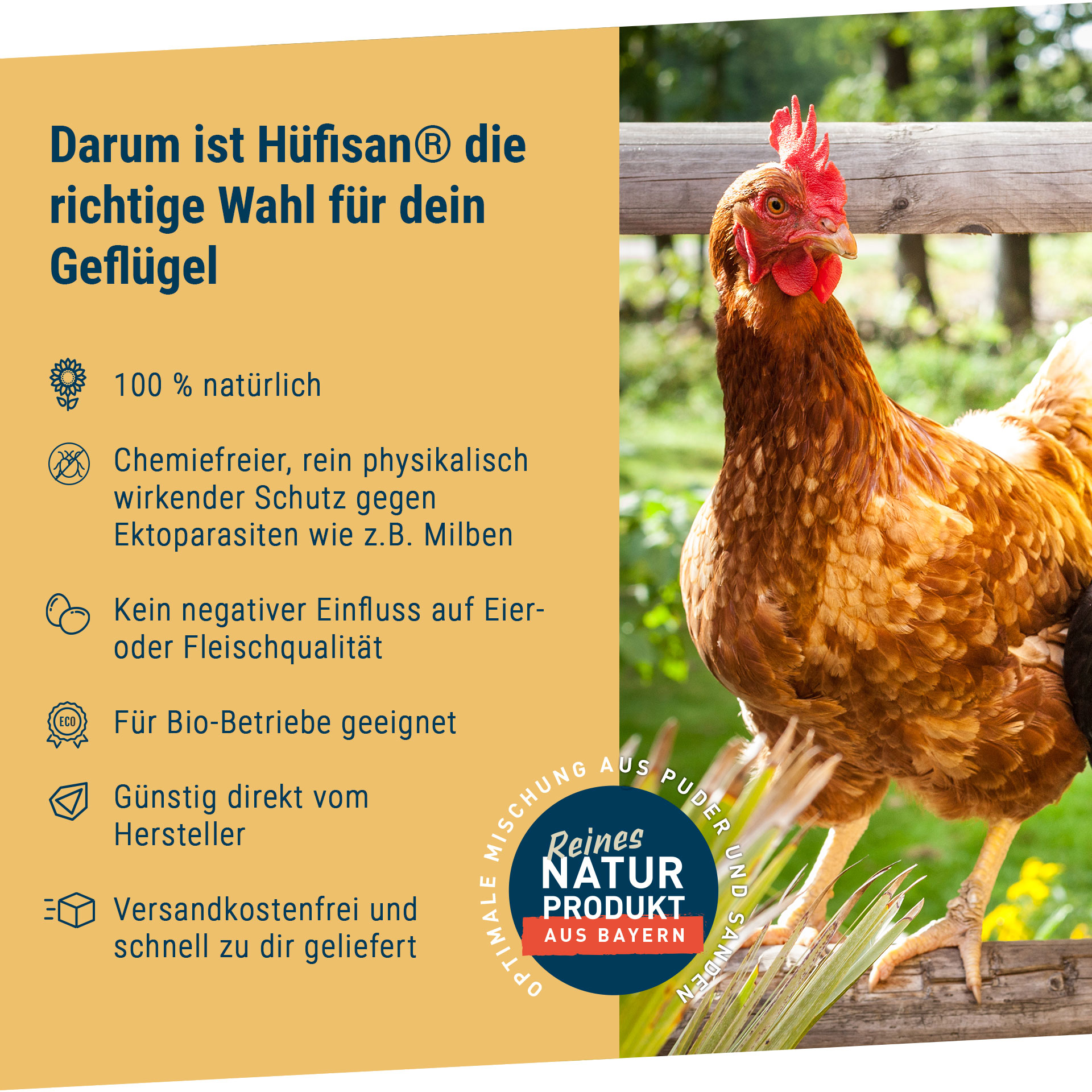Hüfisan® Hygiene-Kombi Plus - 2,5 kg Sack + Pulverzerstäuber