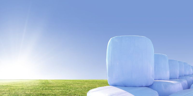 Ernte, Silo & Saatgut