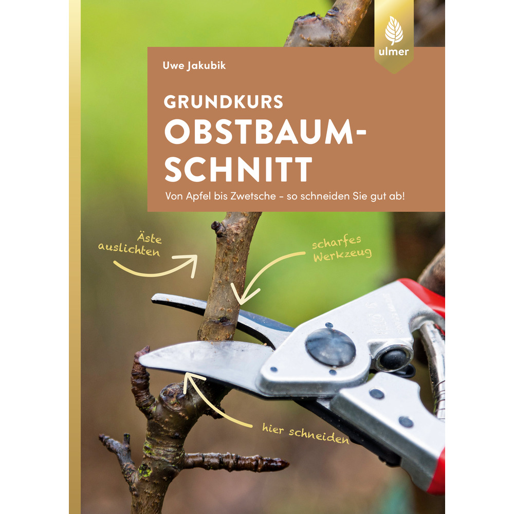 Grundkurs Obstbaumschnitt