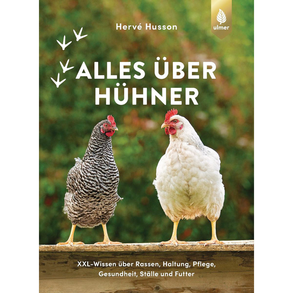 Alles über Hühner XXL-Wissen