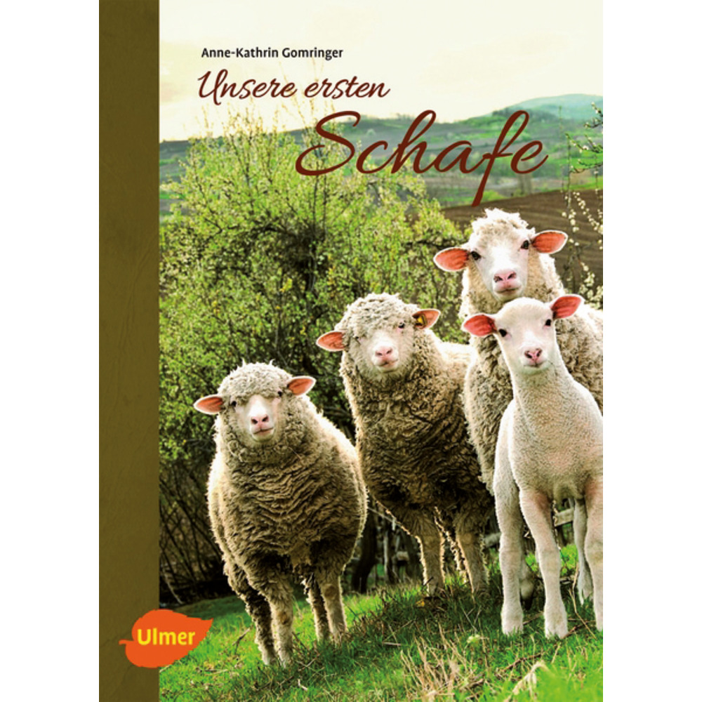 Unsere ersten Schafe