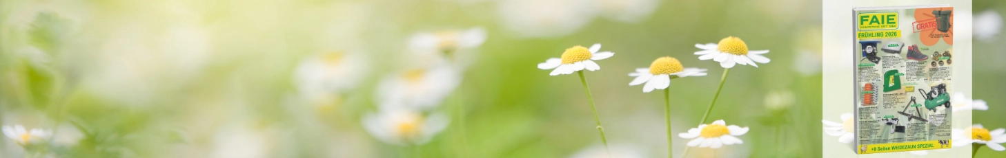 Frühjahrsmailing 2026