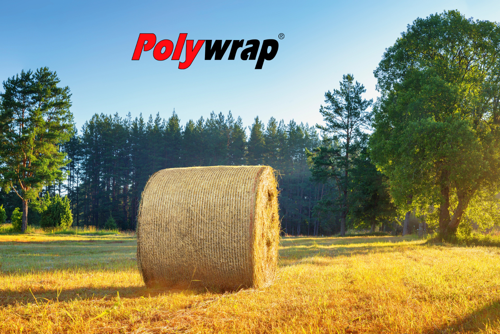 Rundballennetz Polywrap Premium 1,23 x 2.000 m