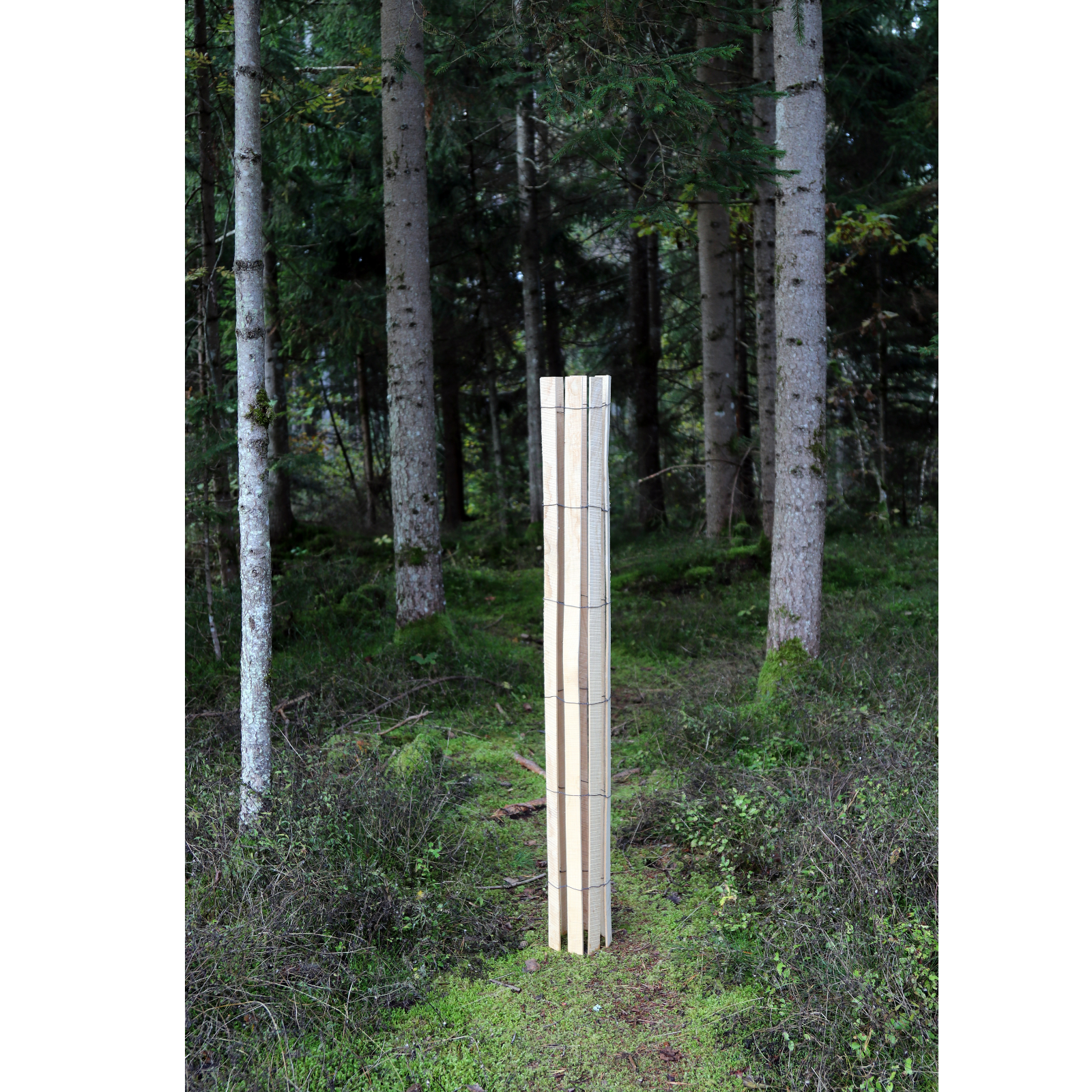 Baumschutz PRO HQ 14cm 120cm 1 St