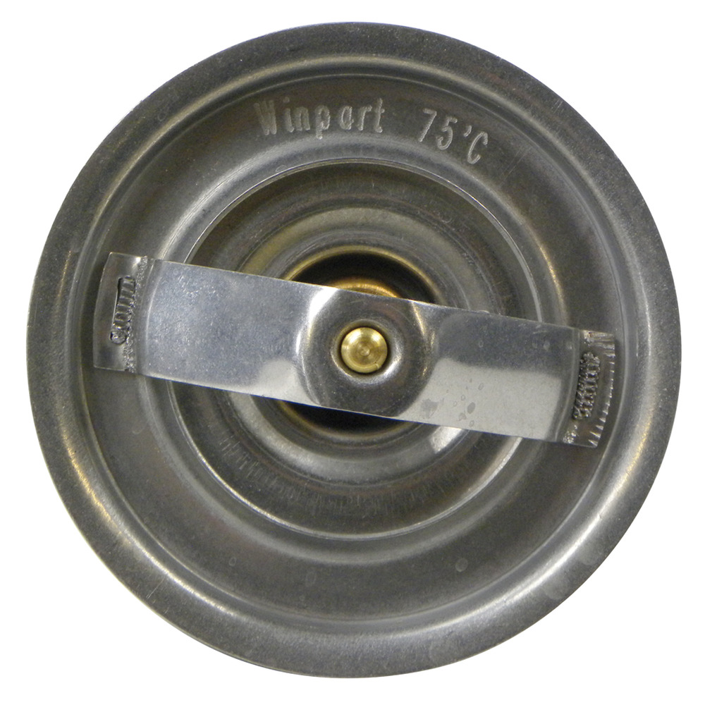 Thermostat for MWM engine