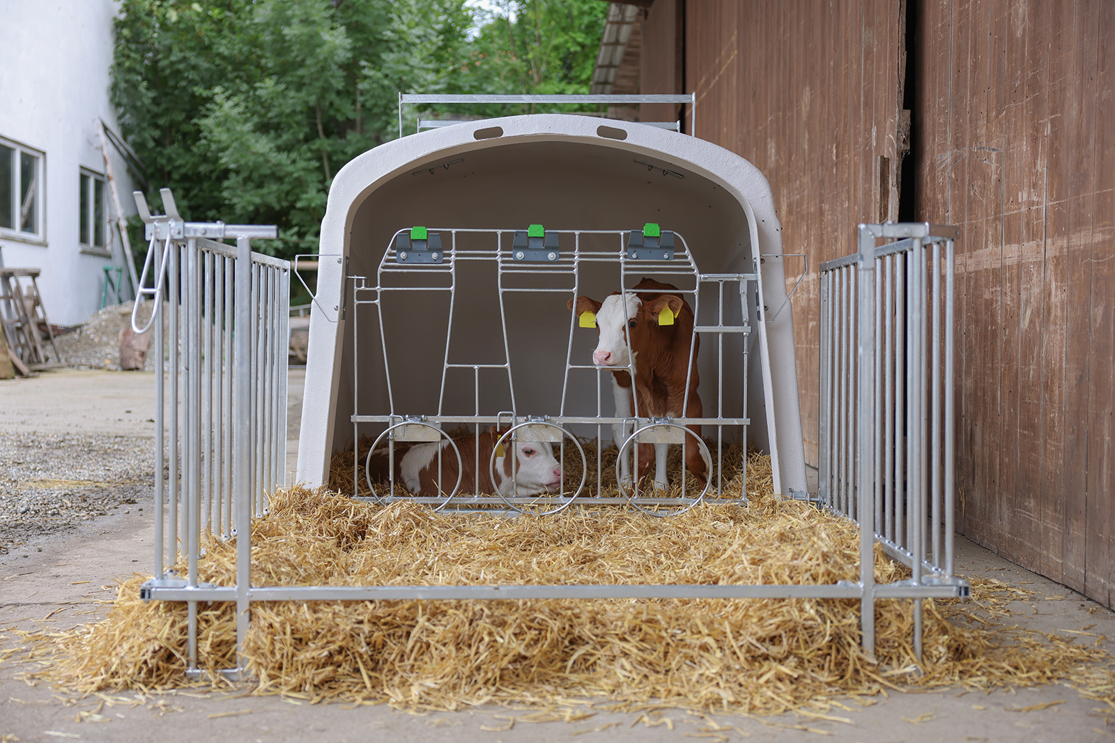 Kälberiglu CalfHouse Premium DUO, mit Zaun