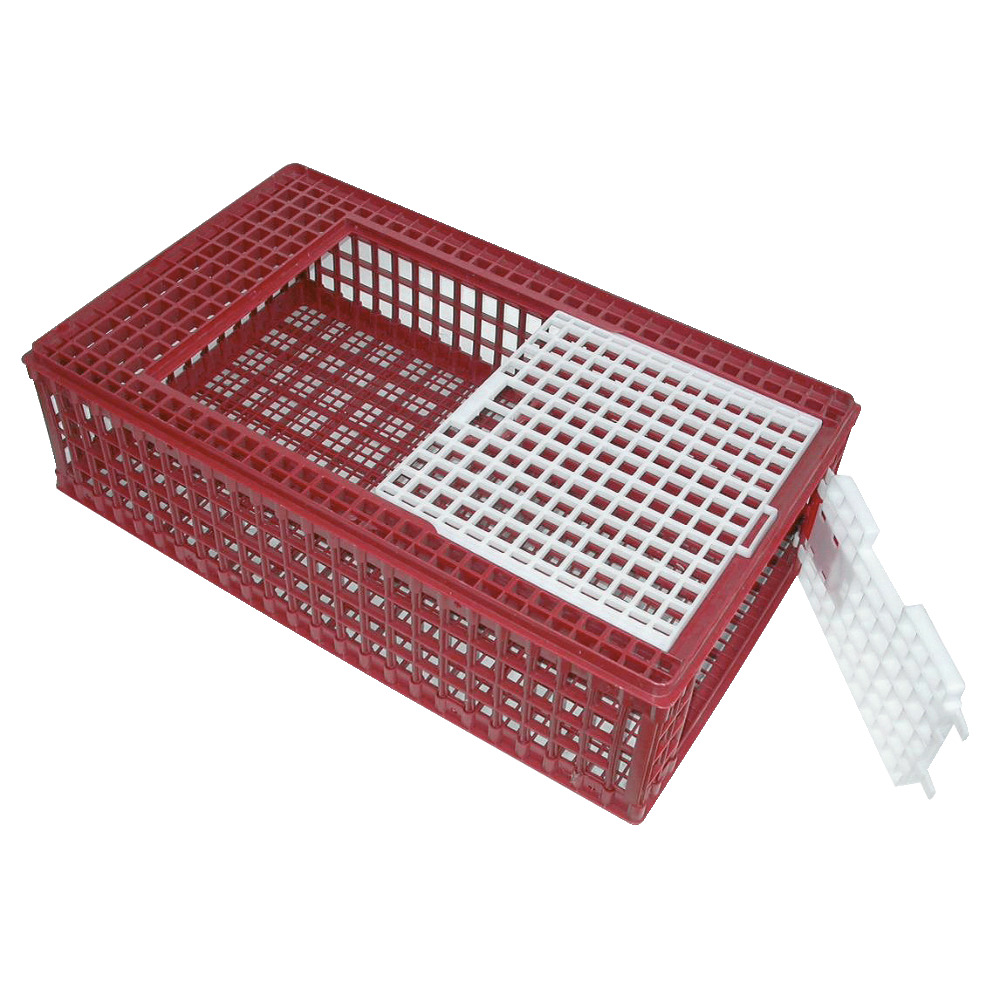 Geflügel Transportbox