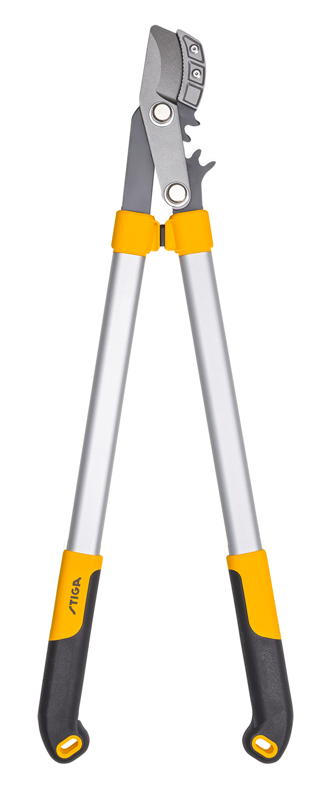 Astschere Amboss