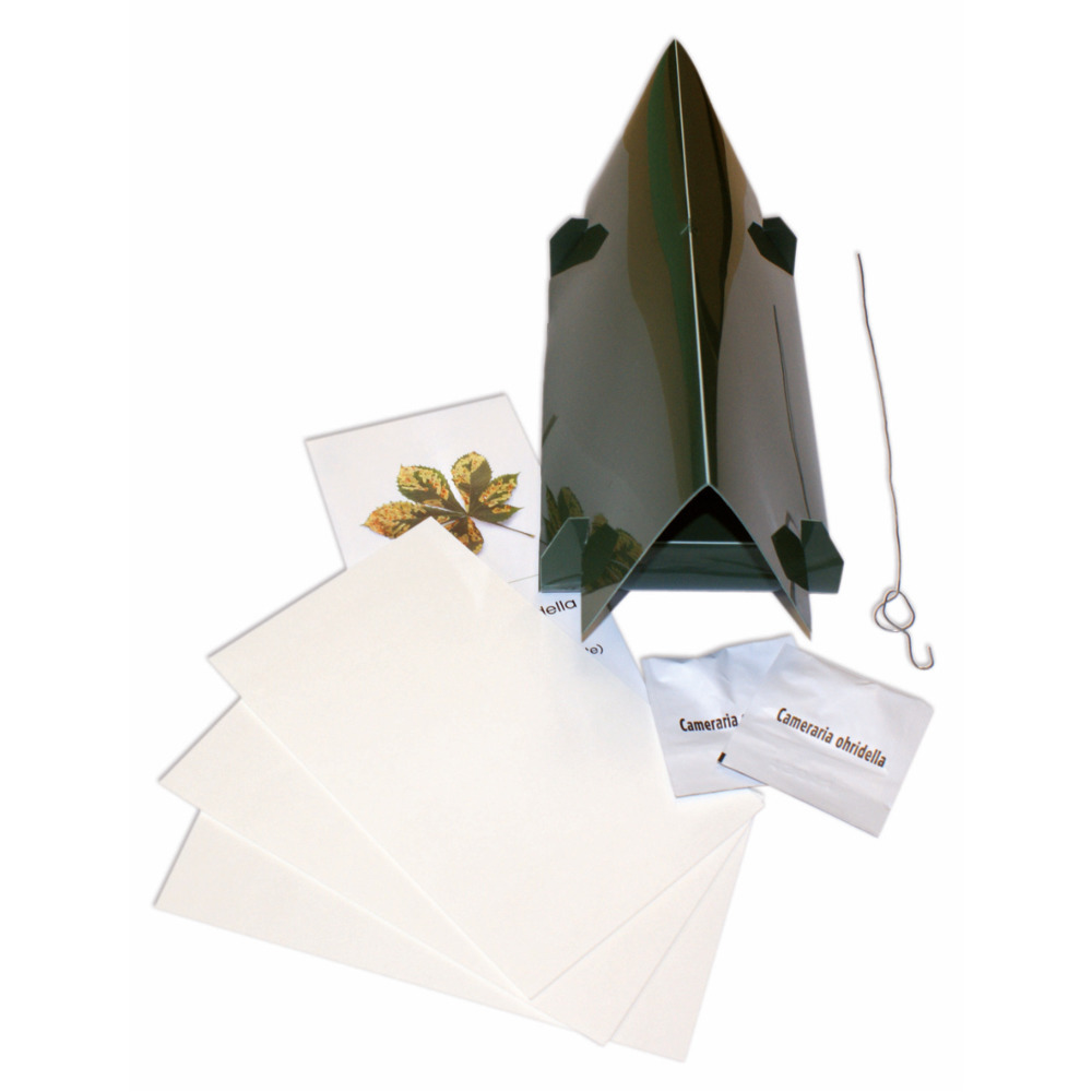Kastanienminiermotte Komplett Set