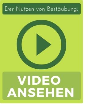 VIDEO-ANSEHEN-1