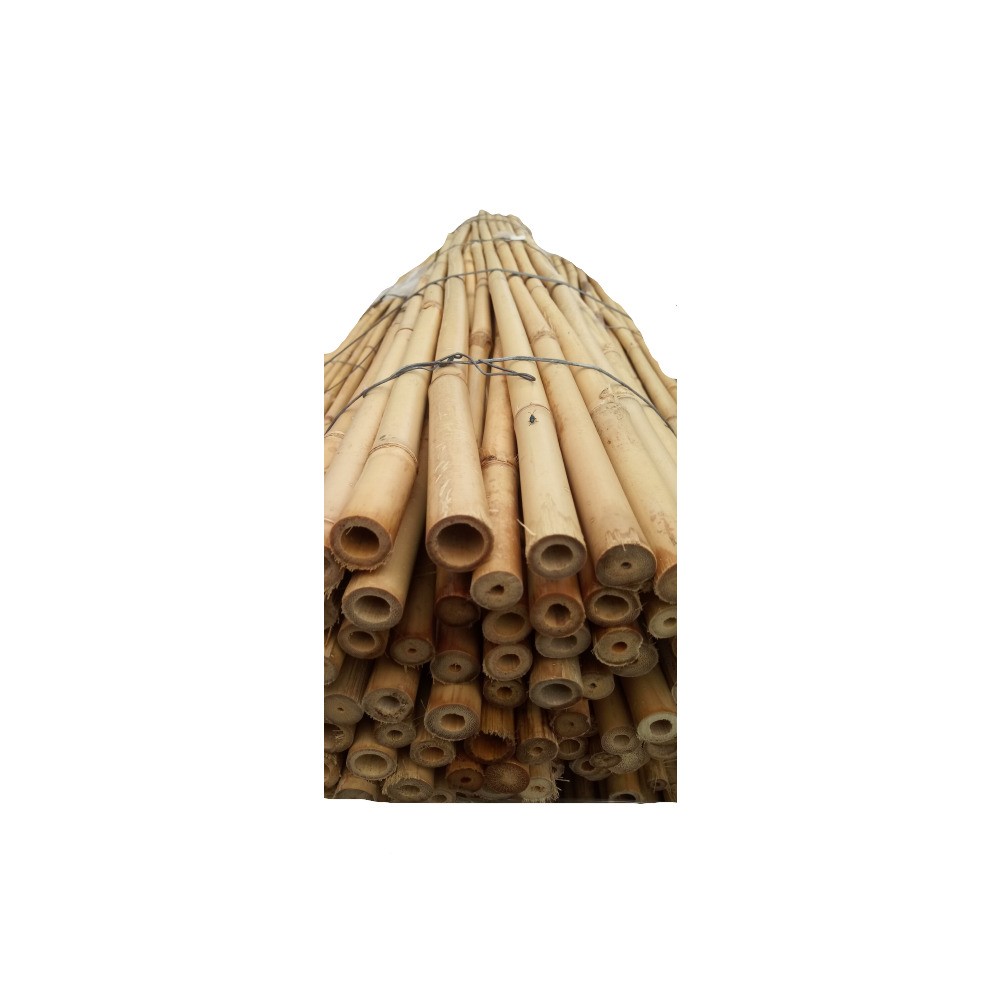 Bambuspfahl, Pflanzstab, Markierstab 150cm