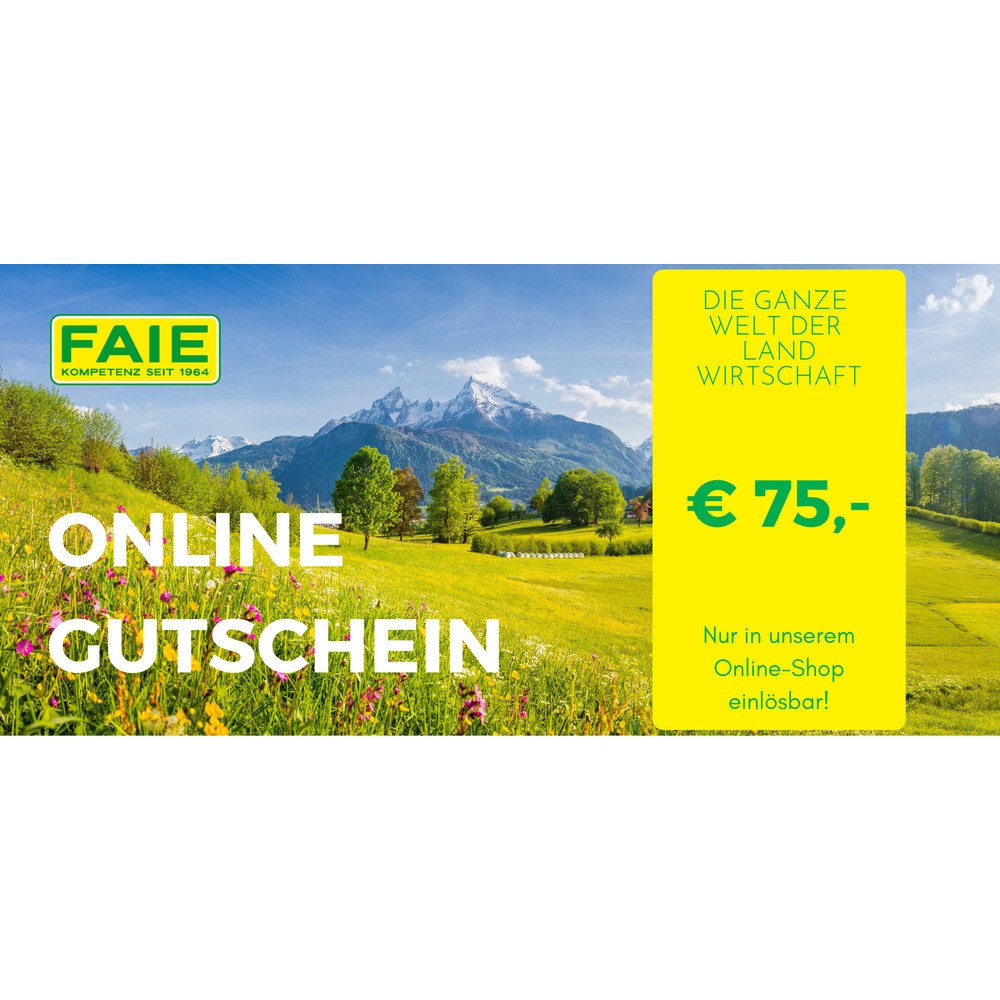 75 Euro Online-Gutschein